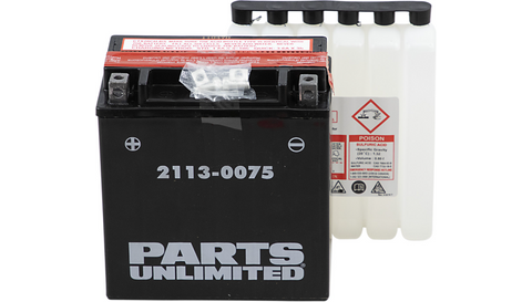 Parts Unlimited AGM Maintenance-Free Battery - YTX20CHBS .80 L - 2113-0075