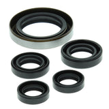 Vertex - 822249 - Engine Oil Seals for 2003-07 Polaris Predator 500