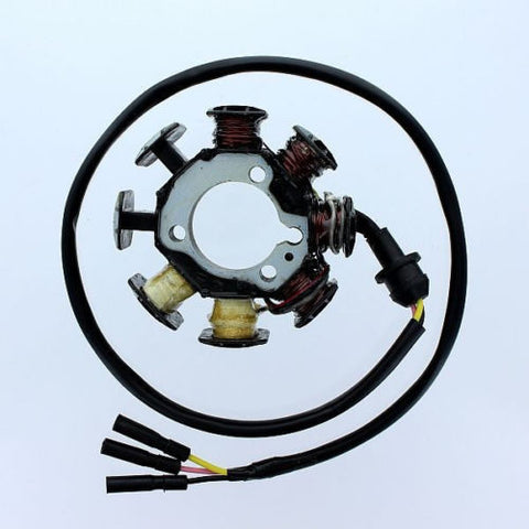 ElectroSport ESG212 OEM Replacement Stator For 1994-02 Honda XR200R
