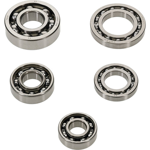 Hot Rods Transmission Bearing Kit for 2009-21 Honda TRX420 Models - HR00078