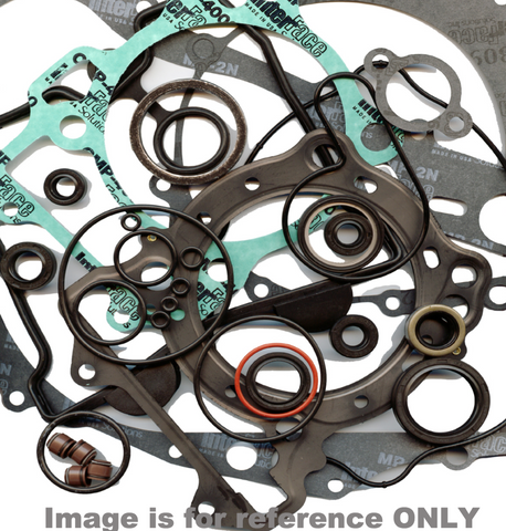 Winderosa Winderosa 711022 Complete Gasket Kit with Oil Seals for 1972-76 Ski-Doo Olympique 300 / 300S