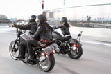Burly Brand Tall Sissy Bar with Pad for 2004-22 Harley Sportster - 20 inch/Black - B13-1501B