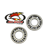 All Balls Crankshaft Bearing & Seal Kit for Kawasaki KLX250 / Suzuki DR350 - 24-1059