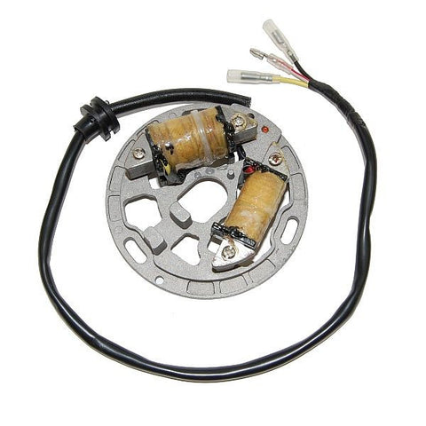 Electrosport ElectroSport ESL225 Lighting Stator for Kawasaki KDX200 / KDX220R