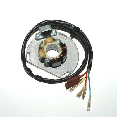 Electrosport ElectroSport ESL235 Lighting Stator for KTM 125 / 200 / 250 / 300 / 360 / 380