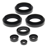 Vertex Engine Oil Seal Kit for 1998-05 Arctic Cat 250 / 300 models - 822145