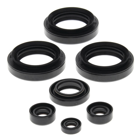 Vertex Engine Oil Seal Kit for 1998-05 Arctic Cat 250 / 300 models - 822145