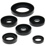 Vertex Engine Oil Seal Kit for 2000-07 Can-Am DS650 - 822203
