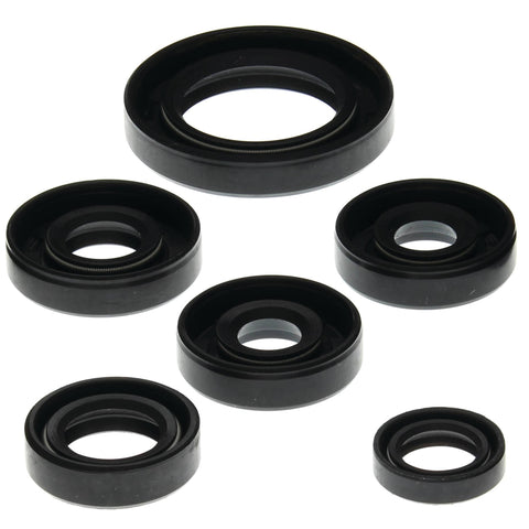 Vertex Engine Oil Seal Kit for 2000-07 Can-Am DS650 - 822203