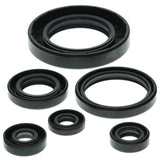 Vertex Engine Oil Seal Kit for 1999-05 Can-Am Traxter 500 - 822204