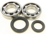 All Balls Crankshaft Bearing & Seal Kit for 1985-92 Suzuki LT250R Quad Racer - 24-1037