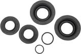 All Balls Racing Differential Seal Kit for 2015-18 Honda TRX420 / 500 - 25-2111-5