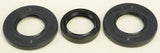 All Balls Racing Differential Seal Kit for Polaris Scrambler / Worker 500 - 25-2054-5