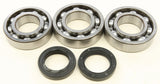 All Balls Crankshaft Bearing & Seal Kit for Polaris Xpress / Xplorer 300 - 24-1084