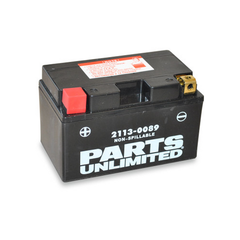 Parts Unlimited AGM Maintenance-Free Battery - YTZ10S