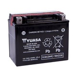 Yuasa Maintenance Free 12 Volt AGM Battery - YUAM3RH2SIND - YTX12-BS