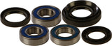 All Balls Racing Rear Wheel Bearing Kit for Honda TRX 350 / 400 / 450 - 25-1037
