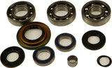 All Balls Rear Differential Bearing Kit for Can-Am Models - 25-2069