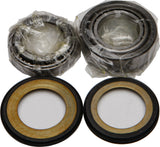 All Balls Steering Bearing & Seal kit for Yamaha TTR110 / TTR125 - 22-1033