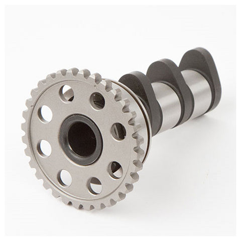 Hot Cams Camshaft - 4089-2IN