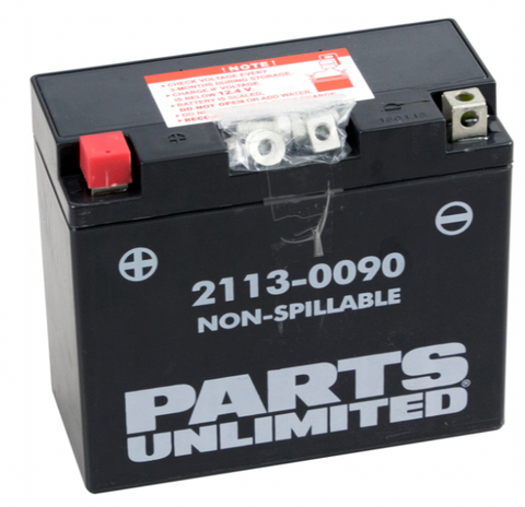 Parts Unlimited AGM Maintenance-Free Battery - YT12B4/YT12B-BS