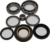 All Balls 25-2070 Rear Differential Bearing Kit for 2007-13 Honda TRX420FE
