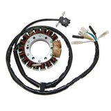 ElectroSport High Power Stator For Honda XR650R / XR400R - ESG443