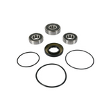 Pivot Work Rear Wheel & Seal Kit for 1999-09 Yamaha XVS1100 Models - PWRWS-Y11-000