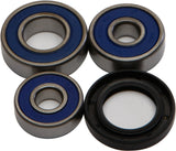 All Balls Rear Wheel Bearing Kit for 2002-19 Kawasaki KLX110 models - 25-1400