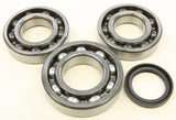 All Balls Crankshaft Bearing & Seal Kit for Polaris Magnum / Trail Boss 330- 24-1085