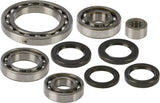 All Balls 25-2064 Rear Differential Bearing Kit for 2001-02 Suzuki LT-A500F