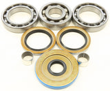 All Balls Differential Bearing Kit for 2008-13 Polaris Sportsman 800 - 25-2096