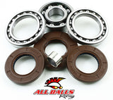 All Balls 25-2081 Rear Differential Bearing Kit for 2009 Polaris Sportsman 550 XP
