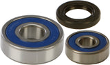 All Balls Rear Wheel Bearing Kit for Suzuki TS250 / Can-Am DS 250 - 25-1326