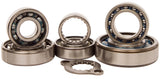 Hot Rods TBK0056 Transmission Bearing Kit for 2006-09 Suzuki LT-R450 QuadRacer