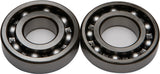 All Balls Crankshaft Bearing & Seal Kit for Kawasaki KLX250 / Suzuki DR350 - 24-1059