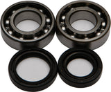 All Balls 24-1073 Crankshaft Bearing & Seal Kit for 1977-81 Yamaha IT175