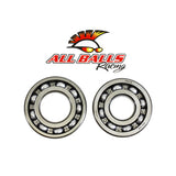 All Balls Crankshaft Bearing & Seal Kit for Kawasaki KLX125 / Suzuki DR-Z125 - 24-1036