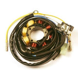 ElectroSport Lighting Stator for Honda CRF250R / CRF450R - ESL960