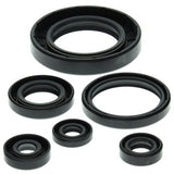 Vertex Engine Oil Seal Kit for 1999-05 Can-Am Traxter 500 - 822204