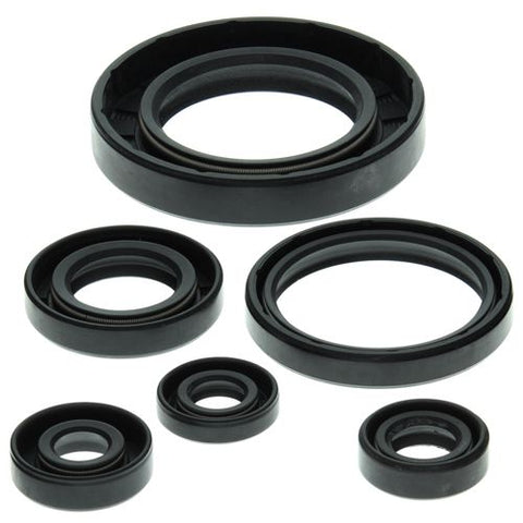Winderosa Engine Oil Seal Kit for 1999-05 Can-Am Traxter 500 - 822204