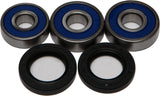 All Balls Rear Wheel Bearing Kit for 1982-83 Honda FT500 Ascot - 25-1324