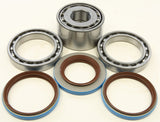 All Balls Rear Differential Bearing Kit for Yamaha YFM350 / YFM400 4x4 IRS - 25-2098