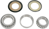 Pivot Works PWSSK-H03-021 Steering Stem Bearings for Honda 1995-97 CR125R/250R