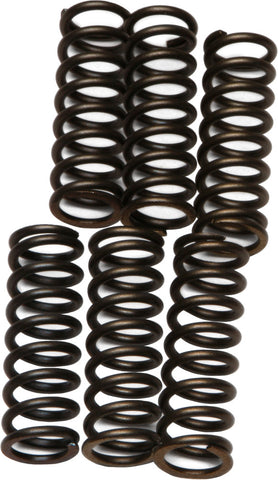 EBC Heavy Duty Clutch Spring Set for Street Springs Only - CSK37