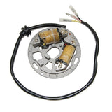 Electrosport ElectroSport ESL225 Lighting Stator for Kawasaki KDX200 / KDX220R