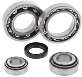 All Balls 25-2019 Rear Differential Bearing Kit for 1986-87 Kawasaki KLF300A Bayou