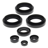 Vertex Engine Oil Seal Kit for 1998-05 Arctic Cat 250 / 300 models - 822145