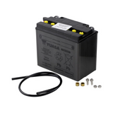 Yuasa Yumicron Battery - YUAM2216Y -  YB16-B