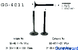 Vesrah - GG-4011-IN - Intake Valve